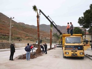 Marmaris’te Palmiyeler Toprakla Buluştu