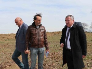 Havza’daki Kılavuz Orman’ı Mesire Alanı Ve Millet Bahçesi Olacak