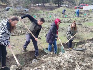 Tokat’ta “Deprem Şehitleri Hatıra Ormanına” 2 Bin Fidan Dikildi