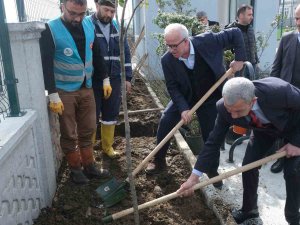 Tekkeköy’de Binlerce Fidan Toprakla Buluştu