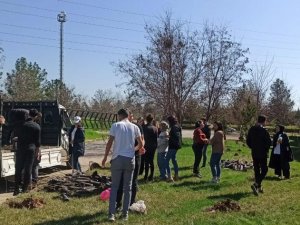 Dicle Üniversitesi, Hayatını Kaybeden Personel Ve Öğrencileri Adına Hatıra Ormanı Oluşturdu