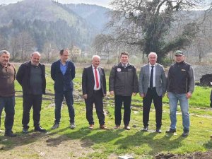 Alaplı’da ’Karaçatlak’ Üzümünün Üretimi Yaygınlaşacak