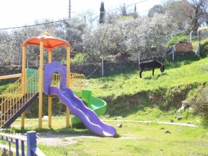 Çocukların Yokluğunda Parklar Eşeklere Kaldı