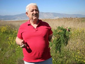 Yol Kenarından Topladığı Otlardan Para Kazanıyor