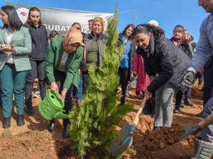 Bşeü Orman Haftasında Fidan Dikimi Gerçekleştirdi
