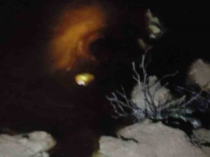 Batman-dörtyol Petrol Boru Hattı’ndaki Akış, Sızıntı Nedeniyle Durduruldu