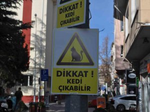 Hız Yapan Duyarsız Sürücüler İçin “Dikkat Kedi Çıkabilir” Yazılı Önlem