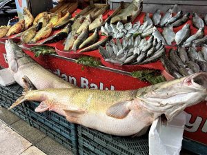 Balıkçı Tezgahlarında Çeşit Arttı, Fiyat Düştü