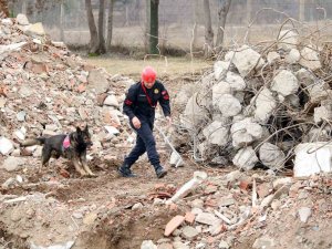 Bozkurt’taki Sel Felaketinde Görev Alan “Garip”, Deprem Bölgesinde De Enkaz Altındaki Vatandaşların Kurtarılmasını Sağladı