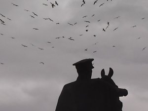 Leylekleri Görenler Cep Telefonuna Sarıldı