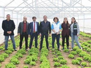 Tarım Vadisi Yeşilleniyor