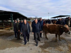 Çınar: “Esnaflarımızın Fedakarlığı Ve Özverisi Her Türlü Takdirin Üzerindedir”