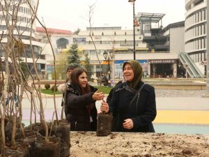 Bolu’da 4 Bin Adet Fidan Ücretsiz Dağıtıldı
