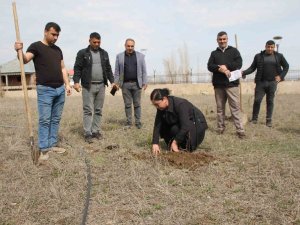Cumhuriyet Savcıları Fidan Dikti