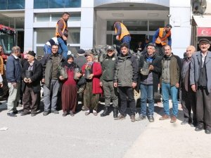 Bin Adet Ihlamur Fidanı Dağıtıldı