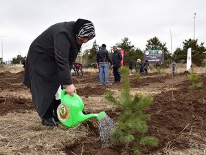 Etü Kampüsüne 6 Şubat Deprem Şehitleri Anısına Fidan Dikildi