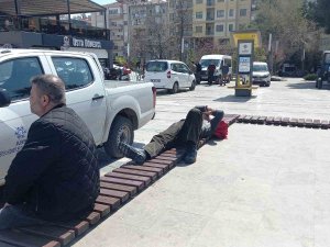 Böyle Uyku Keyfi Görülmedi, Ortalık Karıştı Uyku Keyfini Bozmadı