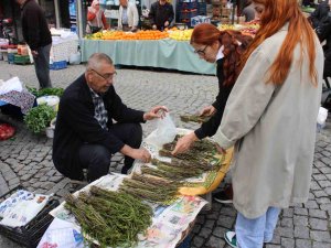Aydın’ın Acı Otu, Fiyatıyla Da Görenlerin Yüzünü Buruşturuyor
