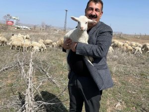 Tarımda Yeni Bir Dönem