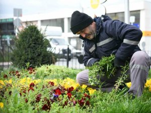 Çayırova’da Bahar Hazırlığı