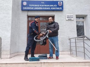 6 Hırsızlık Olayının 5 Şüphelisini Jandarma Yakaladı