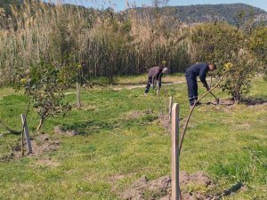 Ortaca’da Çevre Temizlik Ve Düzenlemesi Devam Ediyor