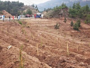 Depremlerde Hayatını Kaybedenler Anısına Bin 100 Fidan Toprakla Buluşturuldu