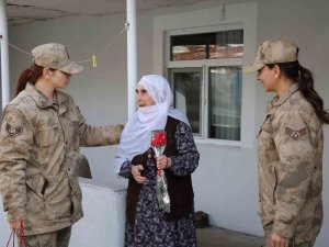 Jandarma Asırlık Çınarları Unutmadı