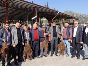 Başkan Özcan Üreticinin Yüzünü Güldürdü