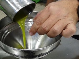 Edremit Zeytinyağı’nın Avrupa Birliği Tarafından Tescillenmesi İçin Son Viraj Dönüldü