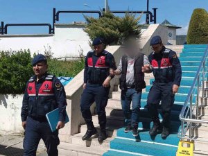 Hırsızlıktan Aranıyordu, Tutuklandı