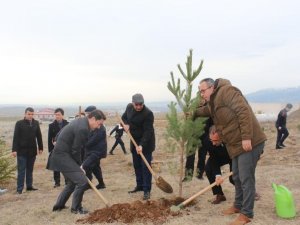 Kütahya Adalet Ormanında Ağaçlandırma Etkinliği