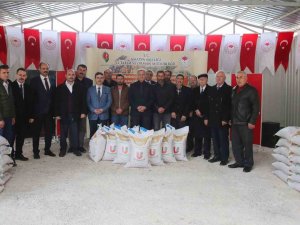 Amasyalı Çiftçilere Kurak Alanların Kazandırılması İçin Nohut Tohumu Desteği