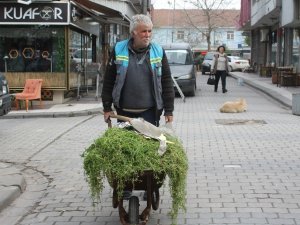 Emekli İşçi Gönüllü Olarak Her Gün İlçeyi Temizliyor