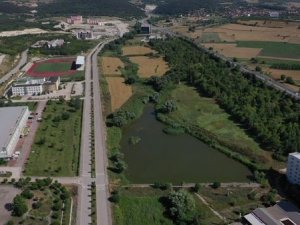 Baün’e Botanik Bahçesi Kuruluyor