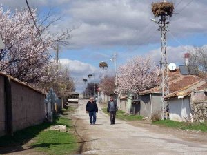 Göçmen Köy, Göçmen Kuşları 60 Yıldır Misafir Ediyor