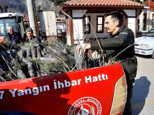 Depremde Hayatını Kaybedenlerin Anısına Fidan Dağıtıldı