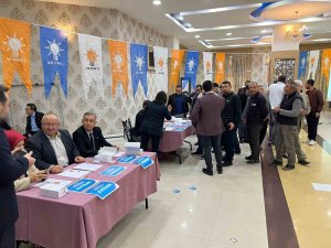 Ak Parti’de Temayül Yoklaması Başladı