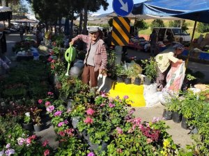 Aydın’da Pazar Tezgahları Çiçeklerle Renklendi