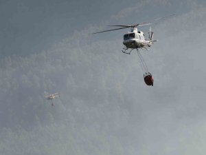 İ̇spanya’daki Orman Yangınında 4 Bin Hektardan Fazla Alan Kül Oldu