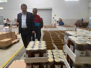 Vali Tavlı Yardım Toplama Merkezinde İncelemelerde Bulundu