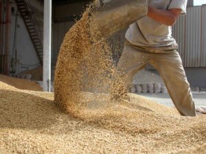 İ̇hracatçılar, Depremzede Üreticilere Pozitif Ayrımcılık Yapacak