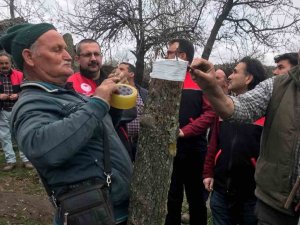 Havran’da Aşılama Eğitimi Yapıldı