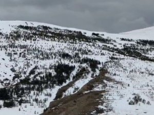 Aşkale Bahar Mevsiminde Beyaza Büründü