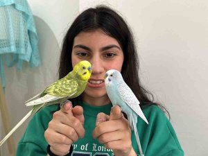 Depremzede Nane Ve Bulut Şimdi Çok Mutlu