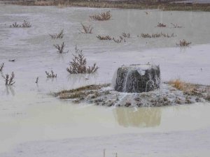 Kars’ta Peynir Altı Sularının Oluşturduğu Gölet Etrafa Pis Koku Yayıyor