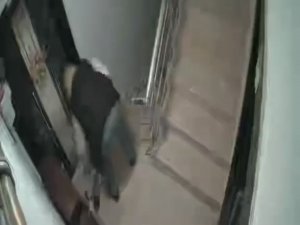 Bursa’da Ayakkabı Hırsızı Kamerada