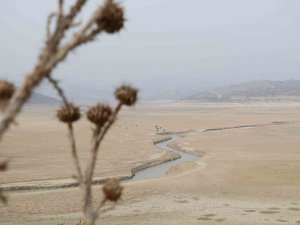 Maski̇’den ’Suları Tasarruflu Kullanın’ Çağrısı