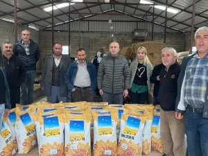 Deprem Bölgesindeki Çiftçilere Ücretsiz Ayçiçeği Tohumu Dağıtıldı