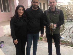 Yaralı Bulunan Kerkenez Kuşu Tedavi Altına Alındı